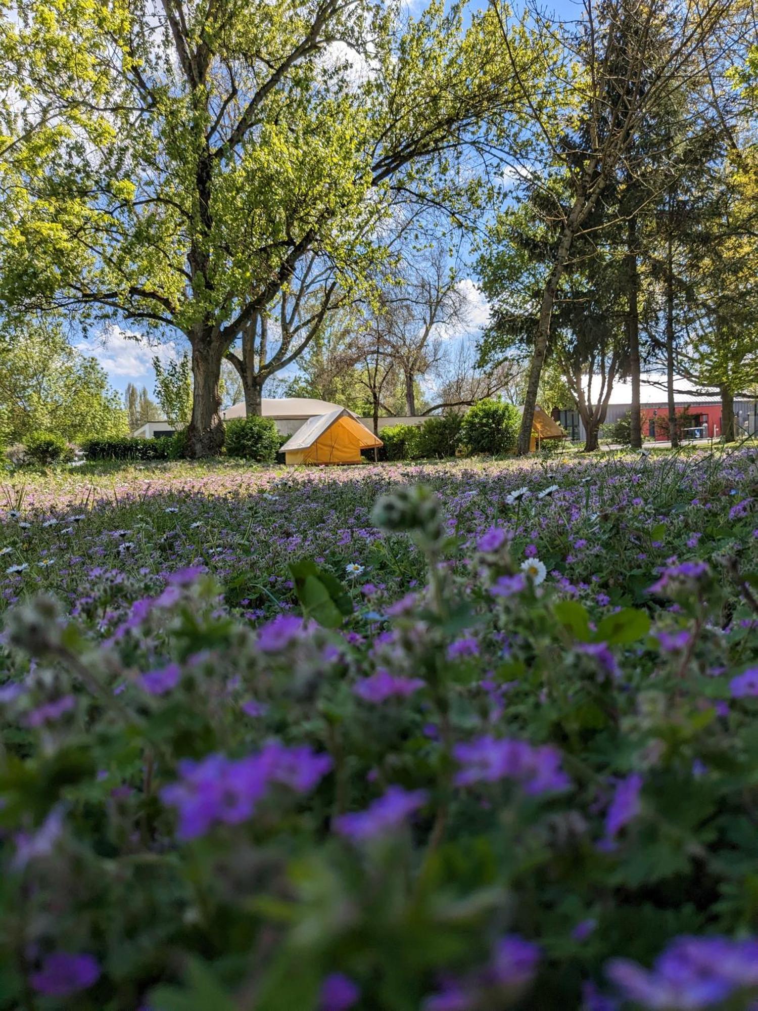 Camping Onlycamp Tours Val De Loire Сент-Авертен Экстерьер фото